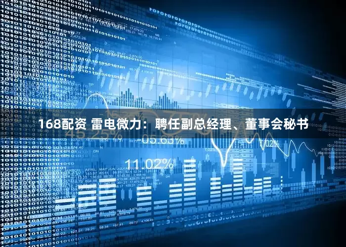 168配资 雷电微力：聘任副总经理、董事会秘书